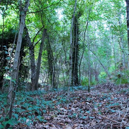 Eco Camping Juncal Hotel Marco de Canaveses Luaran gambar