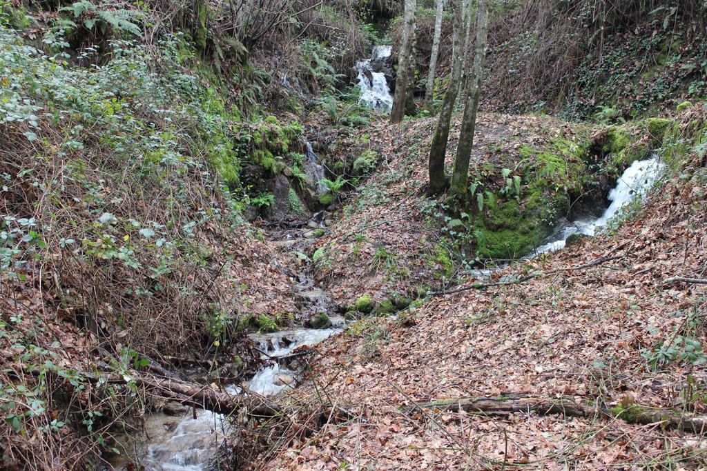 Eco Camping Juncal Hotel Marco de Canaveses Luaran gambar