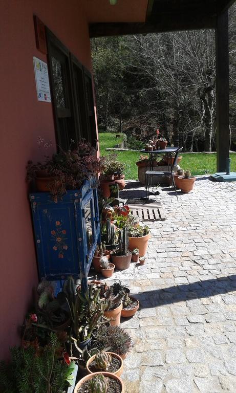 Eco Camping Juncal Hotel Marco de Canaveses Luaran gambar