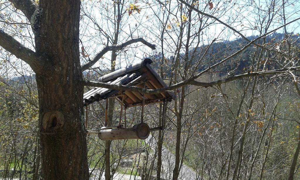 Eco Camping Juncal Hotel Marco de Canaveses Luaran gambar