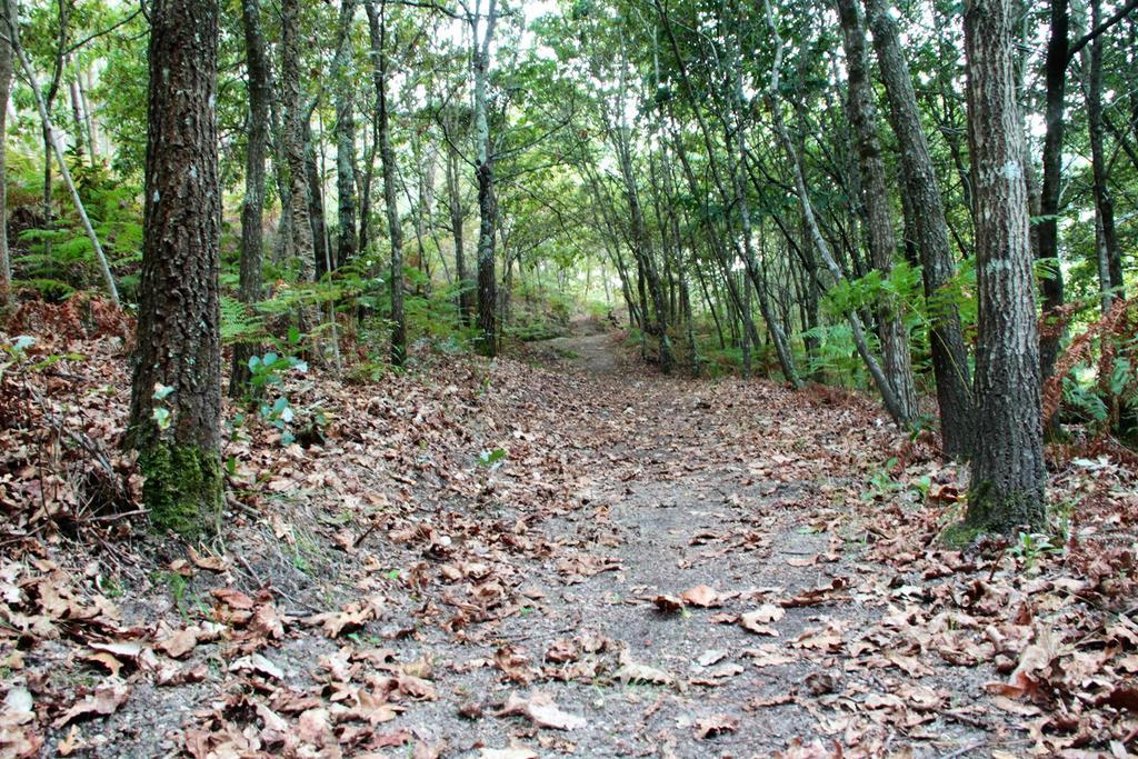 Eco Camping Juncal Hotel Marco de Canaveses Luaran gambar